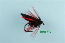 Bog Fly